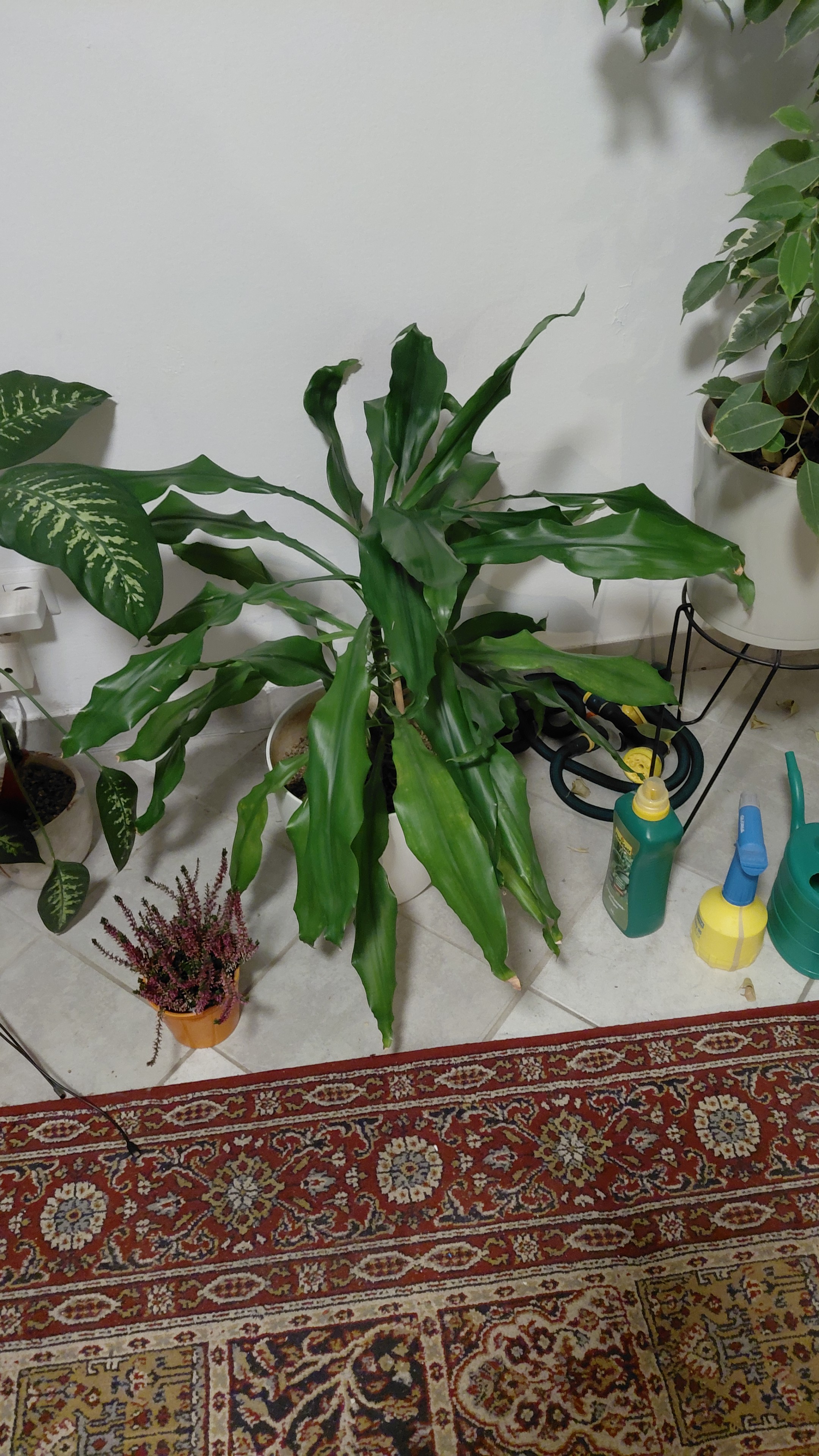 Was die letzten Tage so passiert ist